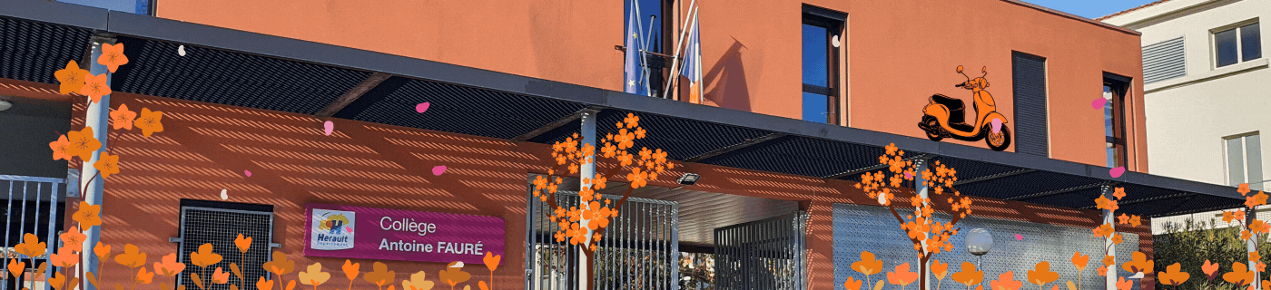 Design sans titre.gif